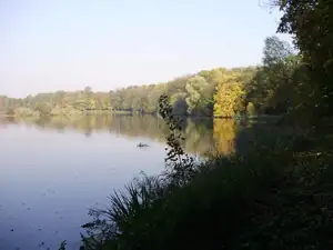 muškatek — 21. října 2012