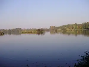 muškatek — 21. října 2012