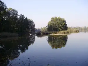 muškatek — 21. října 2012