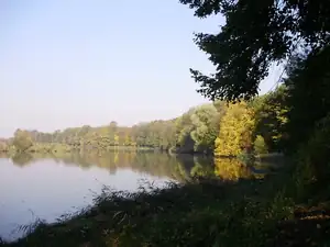 muškatek — 21. října 2012