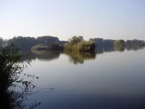 muškatek — 21. října 2012