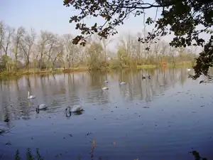 muškatek — 21. října 2012