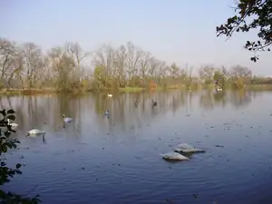 muškatek — 21. října 2012