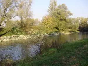 muškatek — 21. října 2012