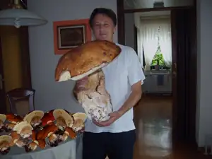 Foto z internetu