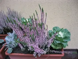 sud — 24. října 2012