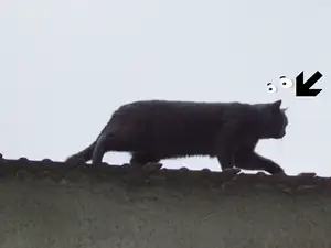 přišel na návštěvu