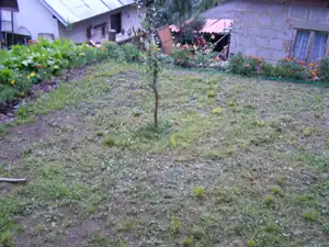 8/2010