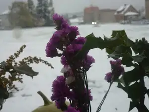tak nám toho napadlo dost