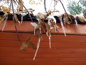 iris66 — 28. října 2012