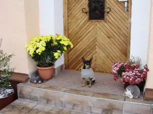 Taky je mu zima