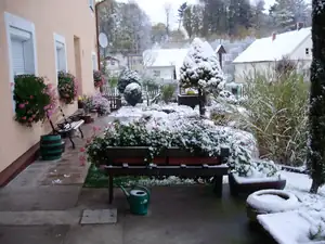 muškatek — 28. října 2012