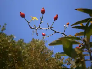 Poslední letošní krásný víkend? Kdoví...(21.10.2012).