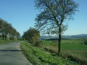 kyti5 — 31. října 2012