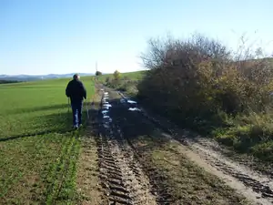 kyti5 — 31. října 2012