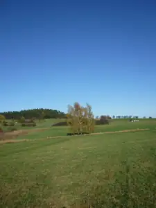 kyti5 — 31. října 2012
