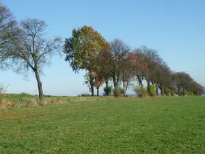 kyti5 — 31. října 2012