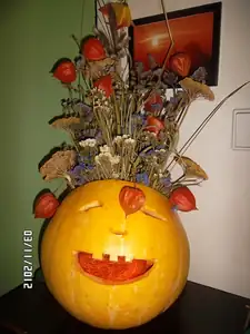 jediná dýně