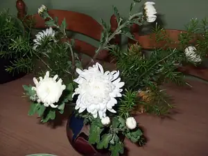 iris66 — 4. listopadu 2012