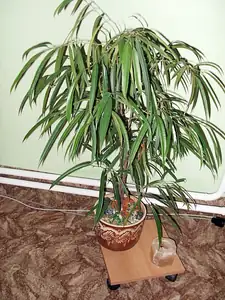 iris66 — 4. listopadu 2012