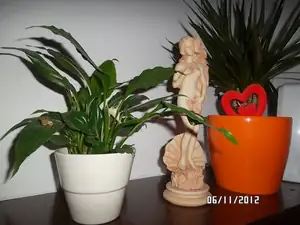 ludmila60 — 6. listopadu 2012