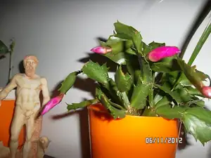 ludmila60 — 6. listopadu 2012