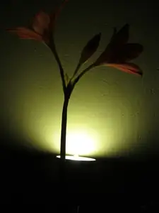 sud — 9. listopadu 2012