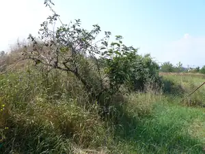 Zde bychom cht