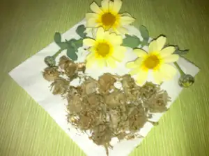 Neznám jméno ale vydržely na záhonu do půl listopadu, byla to nádhera