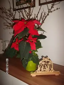 Vánoční