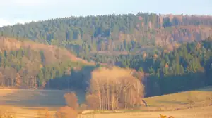 sobota 1.12.2012 u nás...jako na jaře...