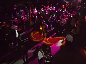 disco