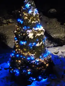 venkovní stromeček...