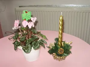 Brambořík kvete již od září