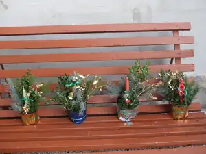 iris66 — 20. prosince 2012