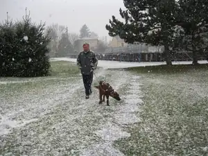 22.12.2012-manžel mě nahradil a šel na procházku s Fíbou