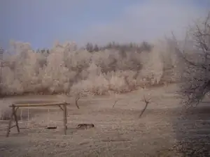 Přeji Všem krasne a pohodove vanočni svatky a posilam par fot z dnešniho mraziveho rana 🙂