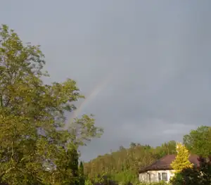 Rozkvetlá zahrada