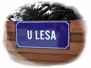 iris66 — 16. ledna 2013