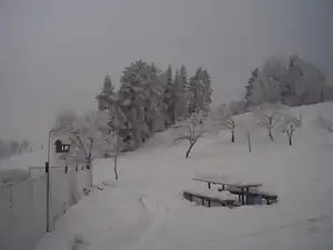 sněhu neni moc ale klukum stači