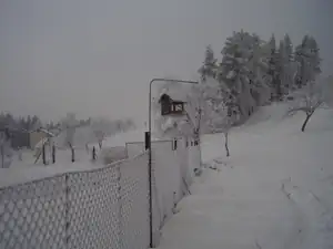 i na ptačky pamatuji 🙂