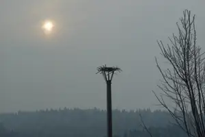 dnešní velmi nesmělé sluníčko...