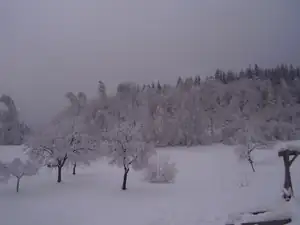 letos zatim idealni zima