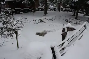 Dnešni vylet na zahradu