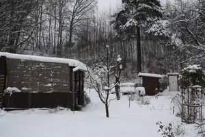 klondajk