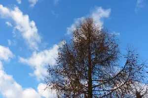 dnes ráno jsme skoro po třech týdnech viděli Slunce...