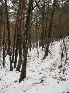 sud — 4. února 2013