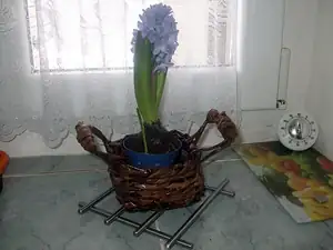 hned jsem mu upletla košík