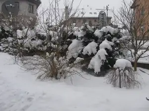 Kvanta sněhu