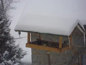 HaGr — 24. února 2013